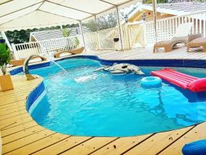 Vanilla Grey - 阿尔玛戈