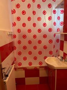 LA ALIS SI RAISA! Apartament cu 2 camere!