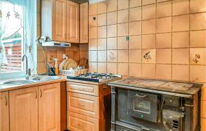 Awesome Home In Lubawka With Kitchen