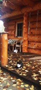 Vila Vilinka & Vila Native Vilinija resort Village