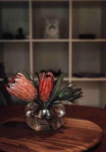 Woodlands by the Sea