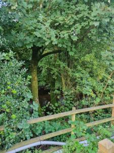 Glamping Hut - Sleeps 2 hot tub & parking