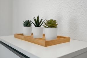 Entspanntes Wohnen in Düren