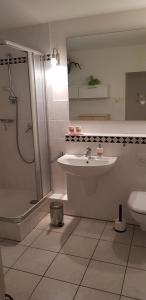 ruhige Ferienwohnung in Waldnähe
