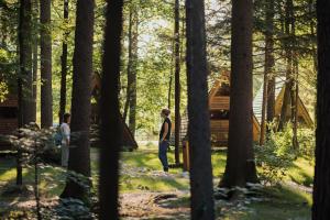 Forest Camping Mozirje