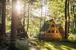 Forest Camping Mozirje 