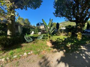 Appartements Les Platanes - Cezanne Rez de Jardin : Appartement 1 Chambre