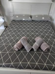 Estudio Coriandolo WiFi fibra