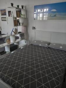 Estudio Coriandolo WiFi fibra