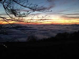 Appartements gite de montagne au pied du Champ du Feu (Alsace) : photos des chambres