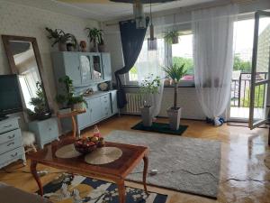 Alterra Apartment,13 legionowa street, flat, mieszkanie 41