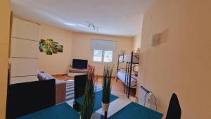 IMEDA ESTUDIO SALVIA