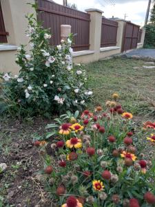 GALAMBLAK Vendégház