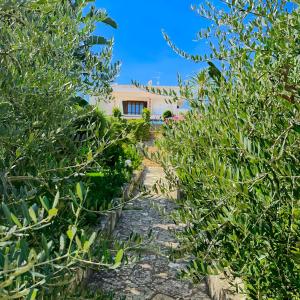 Stunning Seafront Villa in Scopello Pool & Jacuzzi