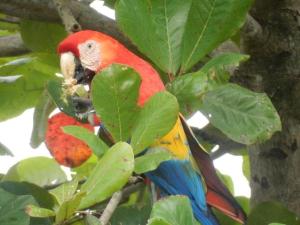 Beach House with a Pool-2mn walk to the beach