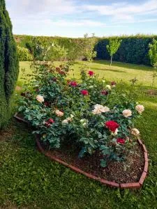 Sun Garden - Krehin Dvor