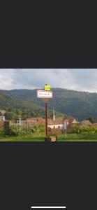 Appartements gite de montagne au pied du Champ du Feu (Alsace) : photos des chambres