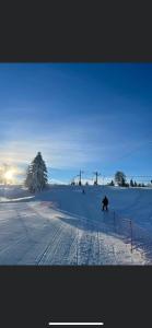 Appartements gite de montagne au pied du Champ du Feu (Alsace) : photos des chambres