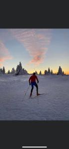 Appartements gite de montagne au pied du Champ du Feu (Alsace) : photos des chambres