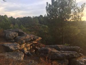 Appartements Duplex Design - in the heart of Fontainebleau's forest - Climber's dream - Few min walk from the most emblematic climbing spots of Fontainebleau - TroisPignons - Overlooking the park of a castle - Ideal Digital Nomad, business trip : photos des chambres