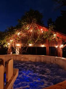 Vila cu Ciubar & Jacuzzi - Sunset Hill House