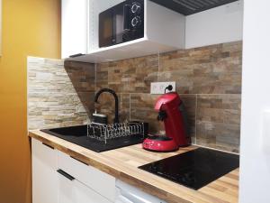 Appartements STUDIO HYPER CENTRE SAFARI TOUT EQUIPE WIFI NETFLIX 2PERS : photos des chambres