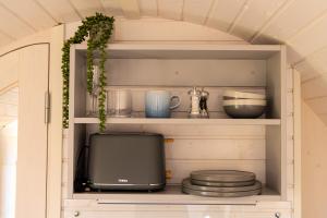 Indrek - Mayflower Meadow