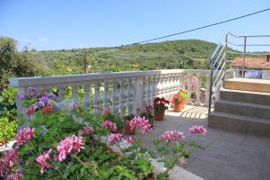 Apartments with a parking space Zman, Dugi otok - 8133