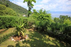 Apartments and rooms by the sea Medveja, Opatija - 2305