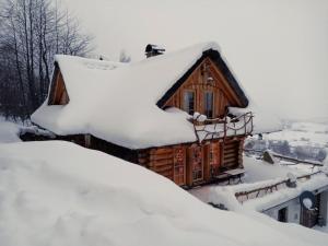 Wooden holiday home in Lipowa with bubble bath