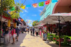 Stylish studio on the 5th Ave of Playa del Carmen