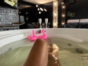 LUKSUSOWY apartament z nieziemskim widokiem krainaalicji