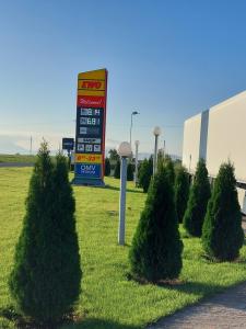 Cazare Pensiunea Ewo