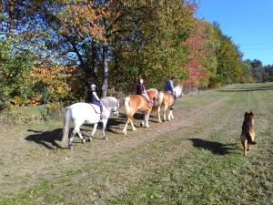 Apartmán na farmě u koní