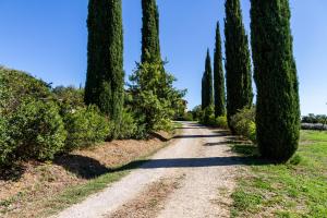 Appartamento Superior con 2 Camere da Letto