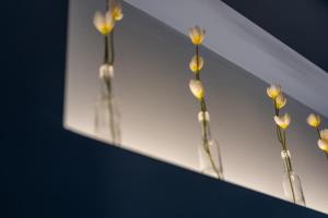 Cozy Corner - Central Stylish Apartment