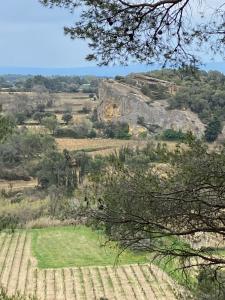 Maisons de vacances Gite LouNao, au pied des dentelles de Montmirail : photos des chambres