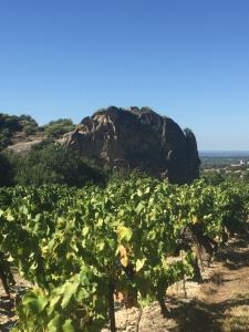 Maisons de vacances Gite LouNao, au pied des dentelles de Montmirail : photos des chambres