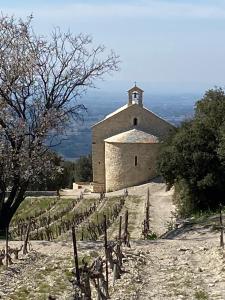 Maisons de vacances Gite LouNao, au pied des dentelles de Montmirail : photos des chambres