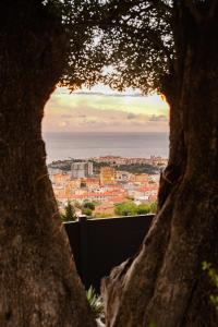 Le petit jardin exotique
