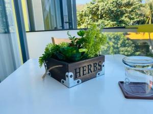 VIVU HOMESTAY VUNG TAU