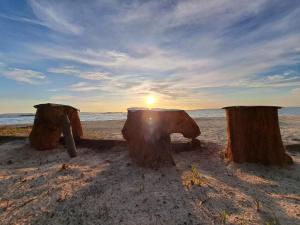 Raja Ampat Jousuba Homestay