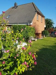 Boddenhecht - Polchow