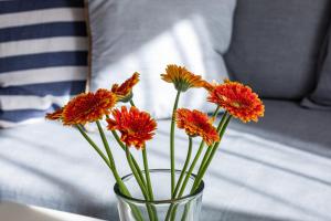 Sonia Seaside Apartment with Parking - Międzyzdroje Dąbrówki