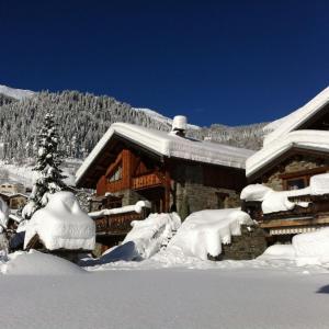 Chalets Chalet Camillou : photos des chambres