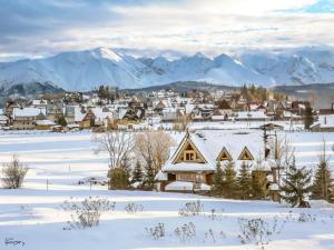 Luxury Chalet Villa Gorsky