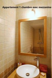 Appartements Holiday in Arles -Appartement du Theatre Antique : Appartement 1 Chambre avec Mezzanine