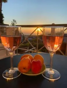 Respect to the Guest - Panórama