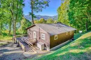 Chipmunk Lane - Balsam