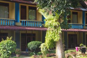 Wisma Leuser Sibayak & Jungle Trekking